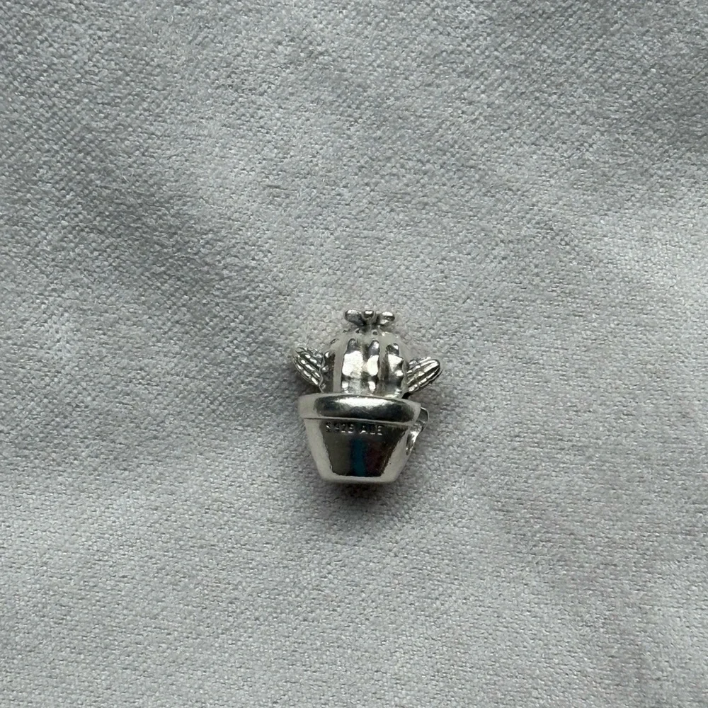 Pandora Free Hugs Cactus Charm in Sterling Silver - Picture 5 of 6